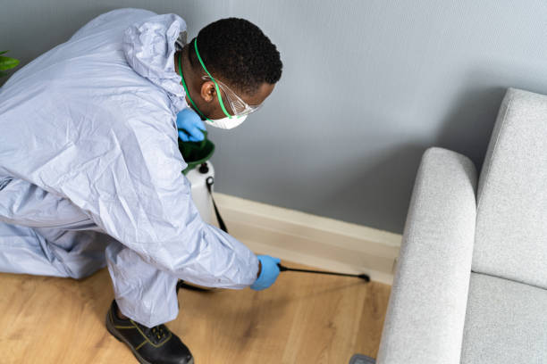 Best Fumigation Services  in Contra Costa Centre, CA